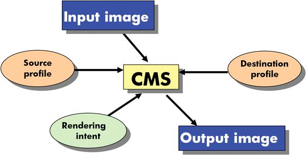 CMS: Color Management System [Σύστημα ιαχείρισης Χρωμάτων] Το λογισμικό το οποίο μετατρέπει τις πληροφορίες χρωμάτων που είναι αποθηκευμένες στην εικόνα εισόδου (καθορισμένη από ένα προφίλ