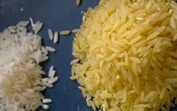 Ochrana pred slepotou detí Zlatá ryža Transgénna ryža siata, s génom psy pre enzým fytoén syntázu kukurice siatej a génom