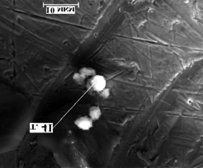 É μ ÒÌ É Ê±ÉÊ μ Ì μ É Pd- É Ö Ô² ³ Éμ HHPC 939 ² Í 2. Šμ Í É Í Ö Ô² ³ Éμ, ³ Ö Œ. 3, μ ². 39 40 μμé É- É μ ² ³ É Ö (C ± ΔC),. % C, É.% (C ± ΔC),.% C, É.% ² ÉÓ 39,. 3, ² ÉÓ 40,.