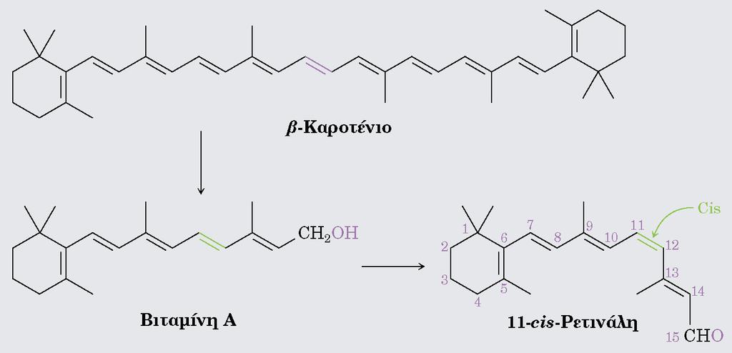 Βιταμίνες Η βιταμίνη Α είναι γνωστή ως ρετινόλη και παίζει σημαντικό ρόλο στη