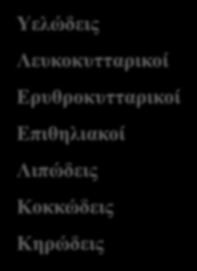 Μικροσκοπική εξέταση ιζήματος ούρων Κύλινδροι Προέρχονται από τα άπω και αθροιστικά σωληνάρια Πρωτεΐνη (Tamm-Horsfall), κύτταρα, ανοσοσφαιρίνες,