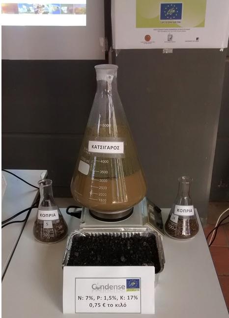 Figure 3: Raw materials and the CONDENSE product