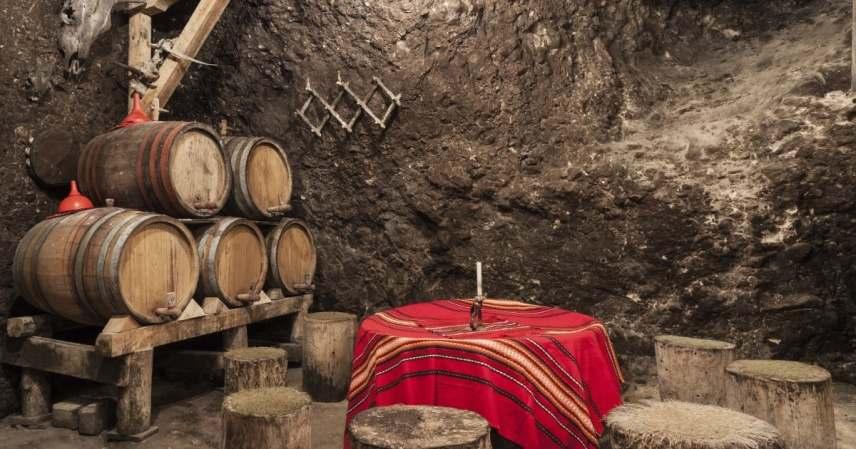 Το Μέλνικ φημίζεται για την παραγωγή εξαιρετικού, δυνατού κόκκινου κρασιού από τα έτος 1346.