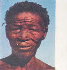 UNIT 1 Reading Activity 1 1. Read the texts for these pictures and match the face to the text. a. b. c. d. e. 1. This is a picture of a Bushman.