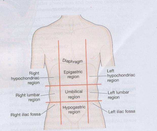 Neurotherapy Diagnostic charts and NT features / Importance Neurotherapy Diagnostic charts हम र शर र क त तभन न भ ग ह त ह, और हर भ ग क अपन अलग महत ह त ह, यकद इनम ककस भ प रक र क ब ध आत ह, त इनक क रण हम