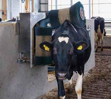 Στη Milkplan φροντίζουμε ιδιαίτερα την ποιότητα και τον σχεδιασμό ώστε η βούρτσα να περιστρέφεται, να ταλαντεύεται και να προσαρμόζεται στα διαφορετικά ύψη των ζώων καθαρίζοντας όχι μόνο την πλάτη