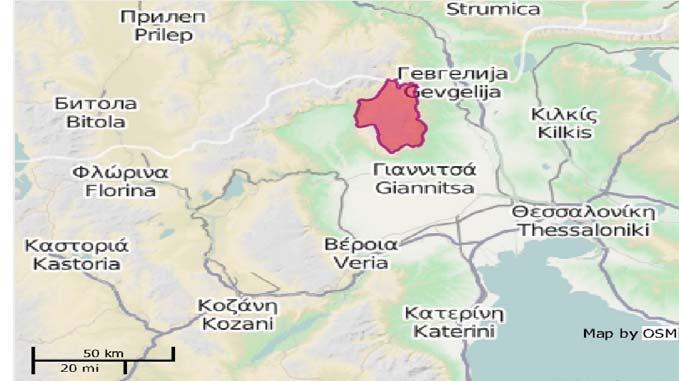 Εικ.21 Όρος Πάικο [5] Περιγραφή : Το όρος Πάικο θεωρείται προέκταση της οροσειράς του Βόρα και γεολωγικά ανήκει στην ίδια ορεινή μάζα με την Τζένα και το Πίνοβο.