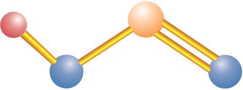 Če na vsak atom v strukturi molekule 4 6 dodamo še atom (skupno 4) tako, da je dvojna vez == usmerjena vzdolž telesne višine, dobimo