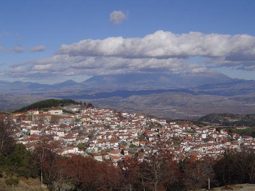 ΒΕΡΔΙΚΟΥΣΑ Η