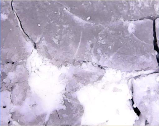 2 mm 2 mm Εικόνα 4.9. Μορφολογική αλλοίωση επιφάνειας δοκιμίων μετά την διεξαγωγή IPT, (αριστερά ) ρηγματώσεις και (δεξιά) σχηματισμός δενδρίτη. Συνεπώς στο εργαστήριο Υ.