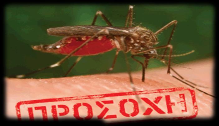 ΠΑΡΑΡΤΗΜΑ Γ ΤΕΧΝΙΚΗ ΕΚΘΕΣΗ / ΠΡΟΔΙΑΓΡΑΦΕΣ ΤΟΥ ΠΡΟΓΡΑΜΜΑΤΟΣ