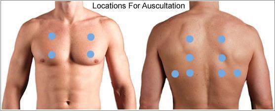 Figure 3 Συνήθεις θέσεις ακρόασης πνευμόνων (http://accesspharmacy.mhmedical.com/data/interactiveguide/physexa m/images/locationsforauscultation.