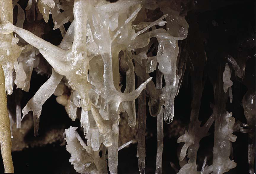 Σπήλαιο Αλιστράτης Σερρών Είδη σταλακτιτών Τα "ΩΟΕΙΔΗ" και τα "ΟΓΚΟΕΙΔΗ" σκουρόχρωμα είναι άλλες μορφές σπηλαιοαποθέσεων, είναι σφαιρικής ή ελλειψοειδούς μορφής και απαντούν στο δάπεδο του σπηλαίου,