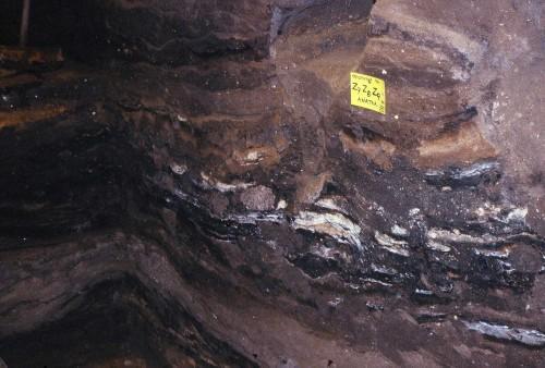 Σπήλαιο «Θεόπετρας» Θεσσαλίας Παχιά ιλυώδη στρώματα εναλλάσσονται με στρώματα πυρών της Μέσης Παλαιολιθικής Στην Καλαμπάκα εντοπίζεται ένα από τα σπουδαιότερα, από αρχαιολογικής άποψης, σπήλαια της