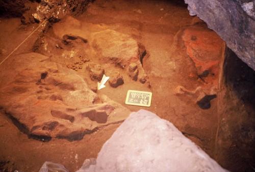 Σπήλαιο «Θεόπετρας» Θεσσαλίας Σχηματοποιημένες μεσολιθικές μάζες πηλού που βρέθηκαν ανάμεσα σε εστίες των 60.000 χρόνων λόγω διαταραχής της στρωματογραφίας.