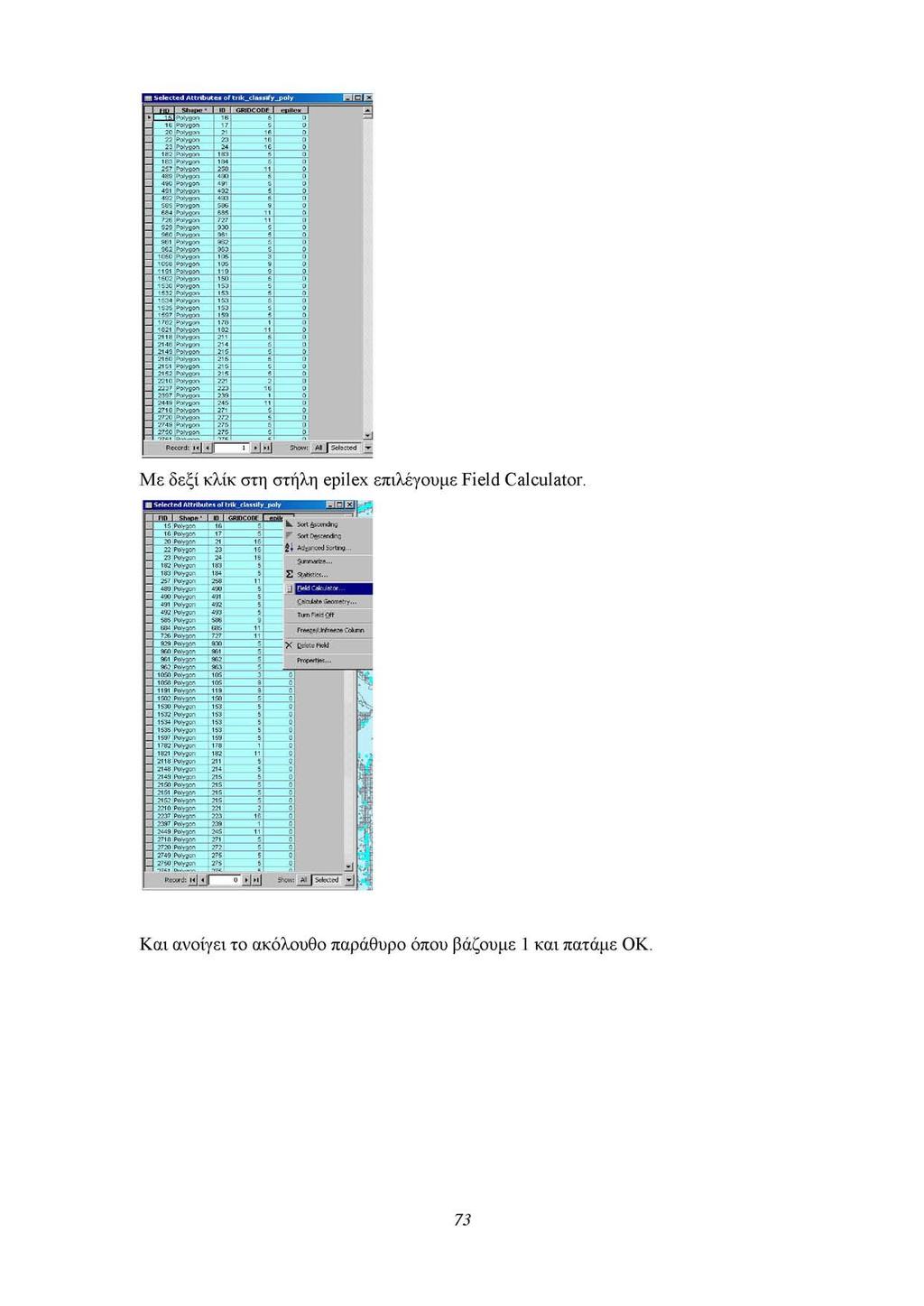 Με δεξί κλίκ στη στήλη epilex επιλέγουμε Field Calculator.