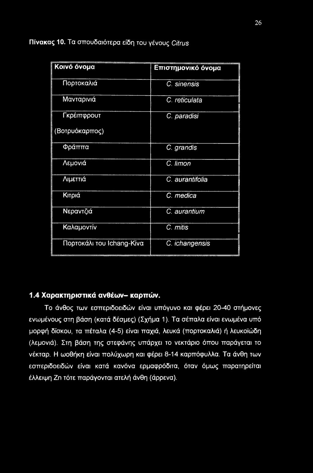 4 Χαρακτηριστικά ανθέων- καρπών. Το άνθος των εσπεριδοειδών είναι υπόγυνο και φέρει 20-40 στήμονες ενωμένους στη βάση (κατά δέσμες) (Σχήμα 1).