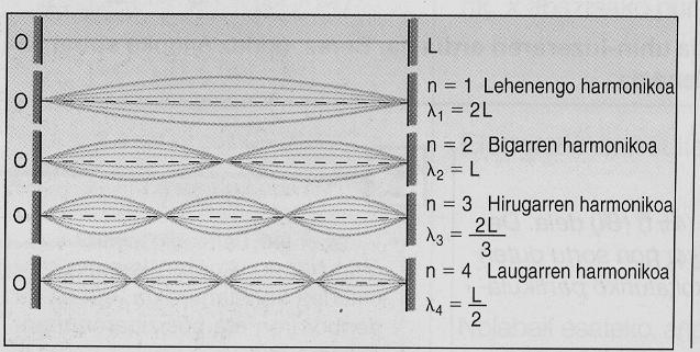 Uhin geldikorrak bi muturrak finko dituen hari batean. Korda duten musika tresnen kasua da hori. Hariaren luzera L dela suposatuko dugu. Bi muturrak(0 eta L) nodoak izango dira.