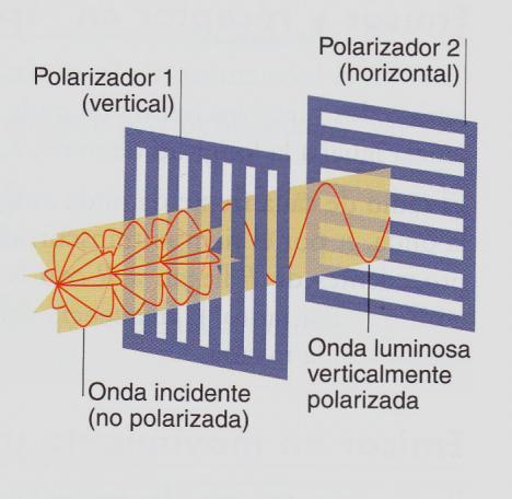 Uhin bat polarizatzea hedatze-norabidea eta bibratze-norabidea plano berean jartzea da. Horrela, luzetarako uhinak ezin dira polarizatu, hedatze eta bibrazionorabideak koinziditzen dutelako.