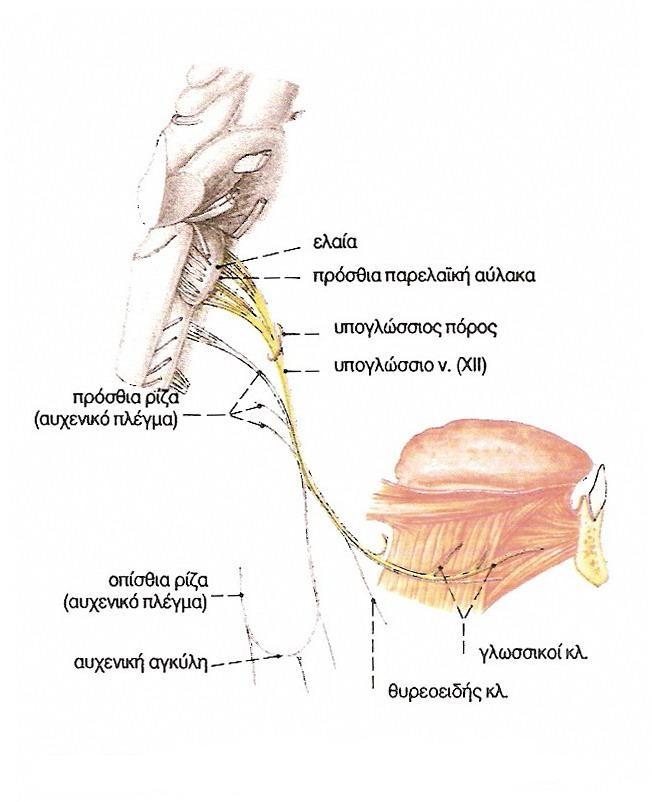 Εικόνα 5.