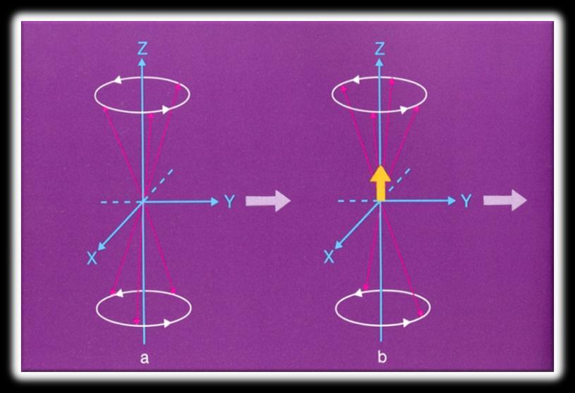 Μηχανισμός σπιν πλέγματος Αποκατάσταση διαμήκους μαγνήτισης Η εξίσωση που περιγράφει την μεταβολή