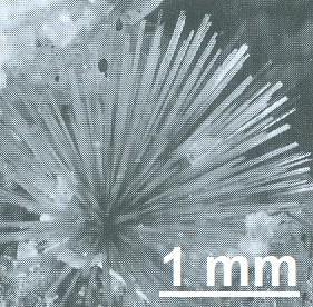 1-1,5 ppm, Ni 30-75 ppm, Pb 50-300 ppm και Zn 150-300 ppm (Πιν. 1). Οι οριακές τιμές για το νερό ανθρώπινης κατανάλωσης (Οδηγία ΕΕ 98/83/ΕΚ/1998) είναι φυσικά πολύ χαμηλότερες και κυμαίνονται από 0.