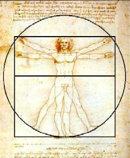 3.5.Ο ΑΝΘΡΩΠΟΣ ΤΟΥ ΒΙΤΡΟΥΒΙΟΥ Αυτό το παράδειγµα του τέλειου σώµατος χρησιµοποιείται από το Leonardo Da Vinci στον περίφηµο πίνακά του «Ο Άνθρωπος του Βιτρούβιου» που απεικονίζει ένα γυµνό άνδρα του