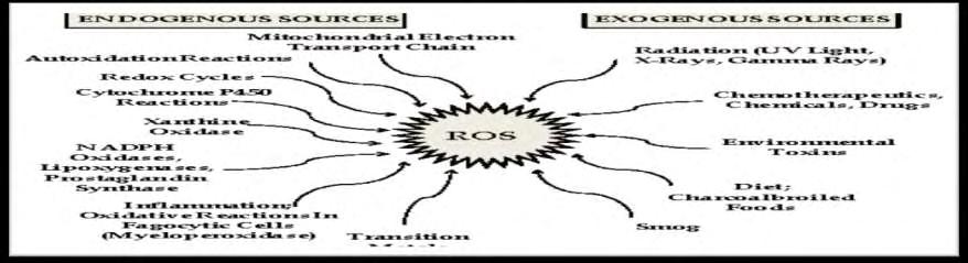περιεχομένου του. Το μονήρες οξυγόνο δεν είναι ουσιαστικά ελεύθερη ρίζα, αλλά μπορεί να προκαλέσει την παραγωγή άλλων ελευθέρων ριζών.