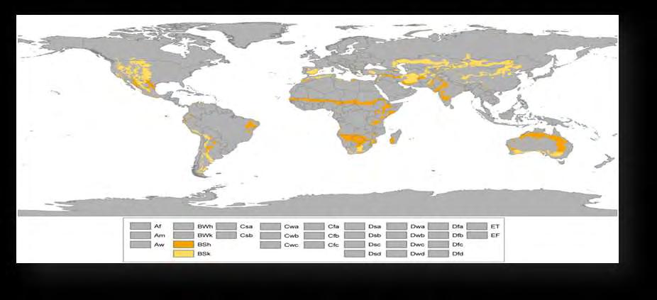 Εικόνα 16: Περιοχές με ημι-άνυδρα κλίματα. BSh θερμό ημι-άνυδρο κλίμα. BSk ψυχρό ημι-άνυδρο κλίμα.
