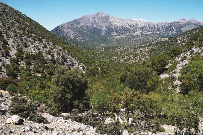 ΡΑΚΤΛΚΑ ΣΥΝΕΔΛΟΥ Γυμνάςιο Αρχανϊν (που κεωροφνταν υψθλότερου μακθςιακοφ επιπζδου) δεν ξεπζραςε το 70 %.