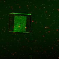 a y(µm) 5 15 25 b 5 15 25 PL reflection 5 15 25 x(µm) NV c 100 cts/s/nm 100 cts/s/nm cavity and NV 4 2 0 d 4