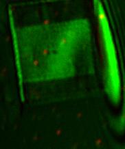 3 y(µm) 0 y(nm) 0.