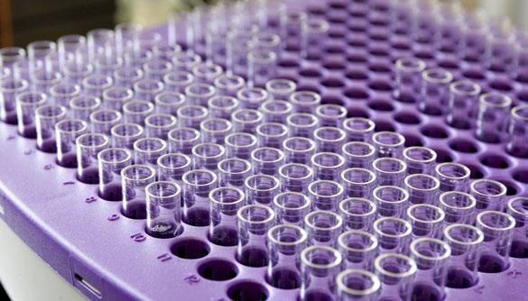 REKOMBINANTU BIOTEHNOLOĢIJA Rekombinantu biotehnoloģija BMC pamatā ir vērsta uz vīrusveidīgo daļiņu iegūšanu un to pielietošanas iespēju pētniecību.