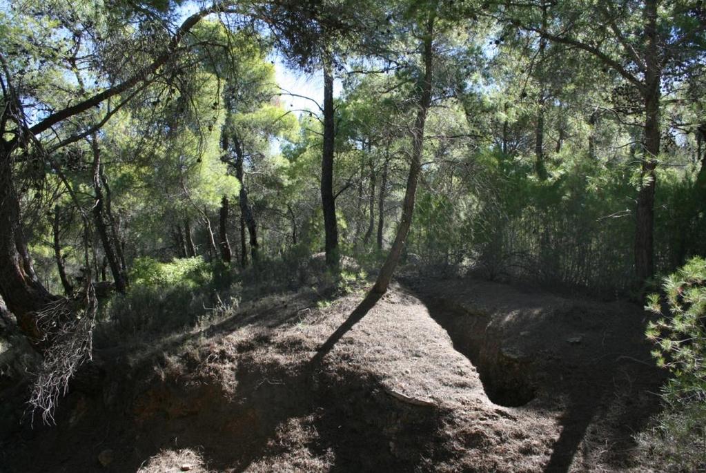 Αποτελεί τη βάση των