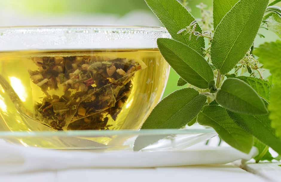 Αρωματισμένο Πράσινο Τσάι / Flavoured Green Tea ΘΕΡΜΟΚΡΑΣΙΑ: 65-80 C ΠΟΣΟΤΗΤΑ: 1 ΚΟΥΤ.