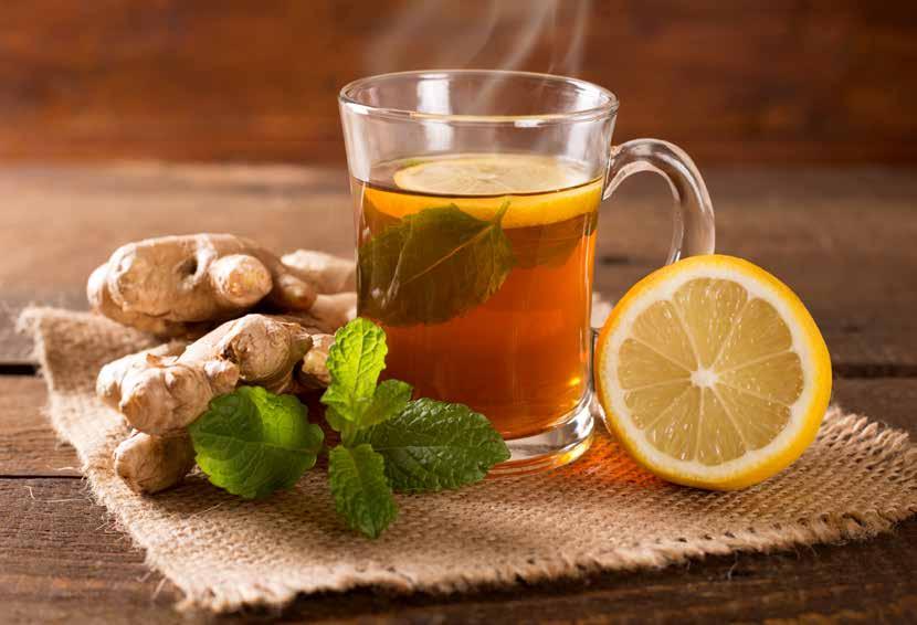 Βοτανικό Τσάι / Herbal Tea ΘΕΡΜΟΚΡΑΣΙΑ: 100 C ΠΟΣΟΤΗΤΑ: 1 ΚΟΥΤ.