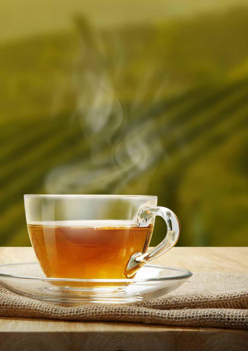 Πληροφορίες Αρχικών Τσαγιού Υπάρχουν δύο βασικές κατηγορίες τσαγιου. Το τσάι που είναι από ολόκληρα φύλλα και ονομάζεται PEKOE και το τσάι που αποτελείται από σπασμένα φύλλα και ονομάζεται BROKEN.