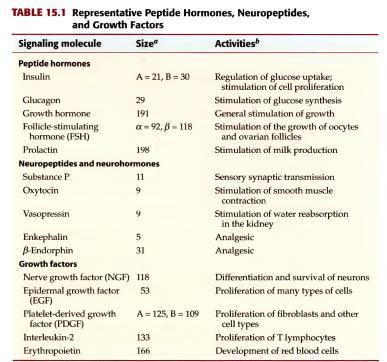 Peptidni hormoni i faktori rasta lipidne signalne molekule djeluju putem površinskih receptora (prostaglandini, prostaciklini,tromboksani, leukotrieni) brzo se razgrađuju