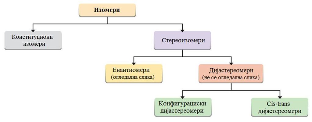 Видови на