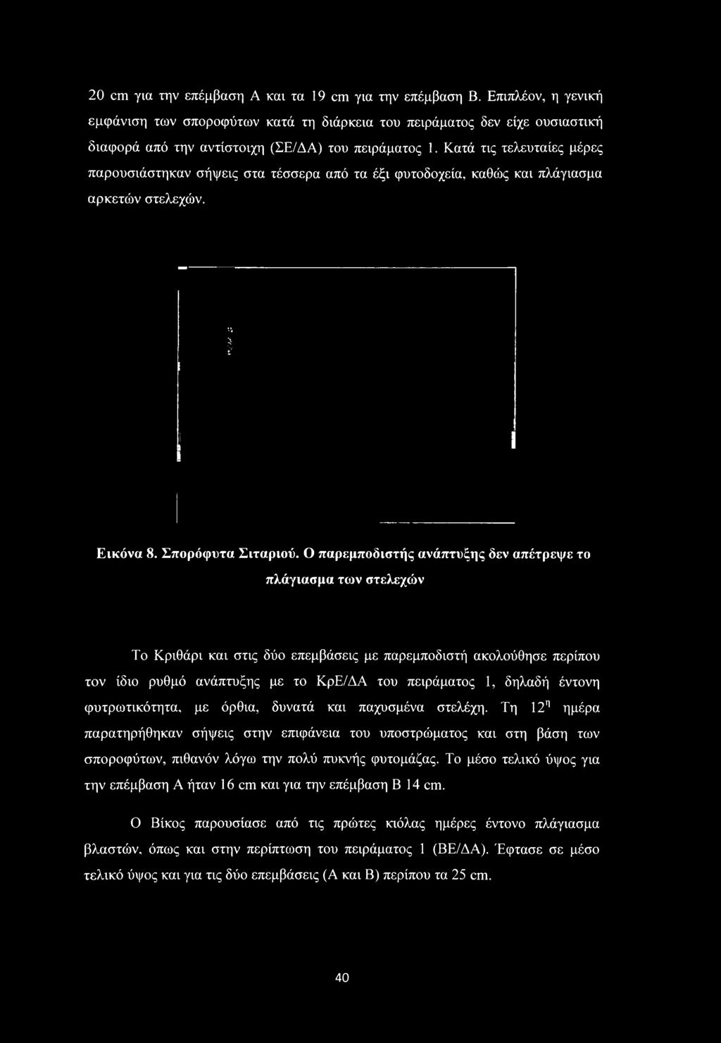 20 cm για την επέμβαση Α και τα 19 cm για την επέμβαση Β.