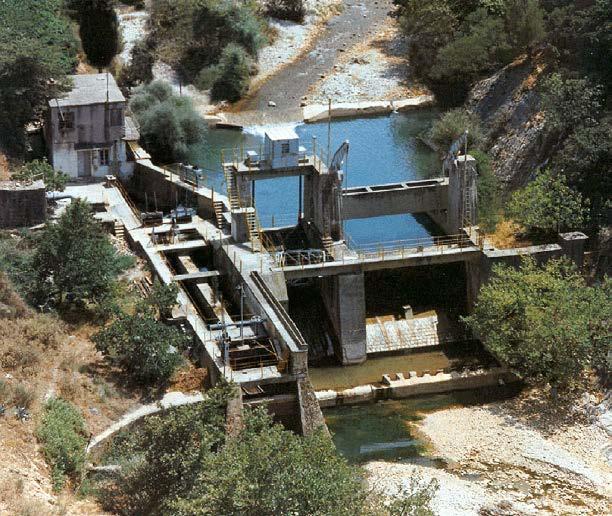 θυροφράγματος.