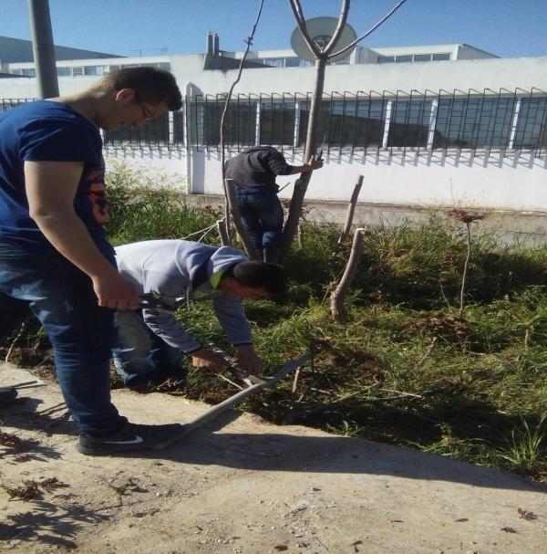 Ομάδα μαθητών κόβουν ξύλα για να τα χρησιμοποιήσουν ως