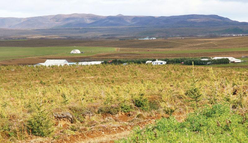 færi á að slá margar flugur í einu höggi. Á Íslandi er mikið rofið land.