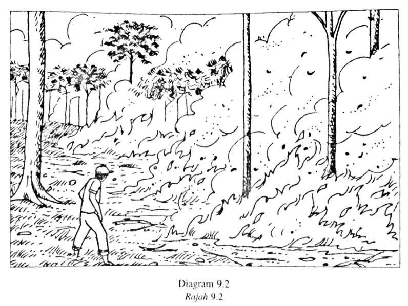 SPM 2008 (Esei) Rajah menunjukkan aktiviti pembakaran hutan. Bincangkan bagaimana aktiviti ini menyebabkan bencana terhadap alam sekitar.
