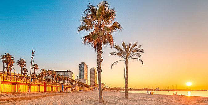 Να κάνετε τουλάχιστον έναν μαραθώνιο tapas στη Barceloneta Πιάνετε τραπεζάκι με θέα και άρωμα θάλασσα και δοκιμάζετε όσα περισσότερα