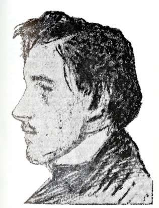 последње године, 1893, у Земуну. Издавачи Јавора били су: Змај, Лука Јоцић, Арса Пајевић и Јован Карамата.