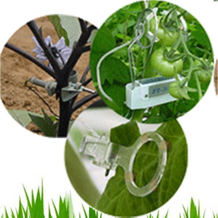 Phytomonitoring