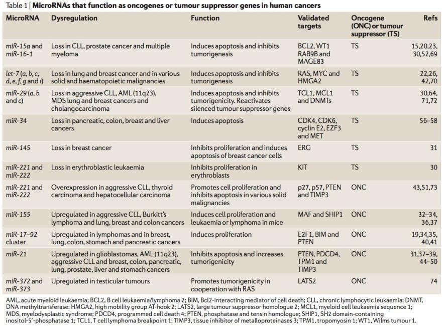 Onkogeni ali tumor-supresorske mirna