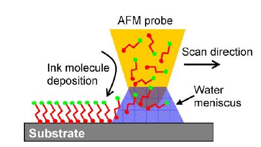 Χρήση AFM για τη δημιουργία νανοδομών DIP-PEN «Πένα» σε νανοκλίμακα. Εναπόθεση μελανιού (π.χ.
