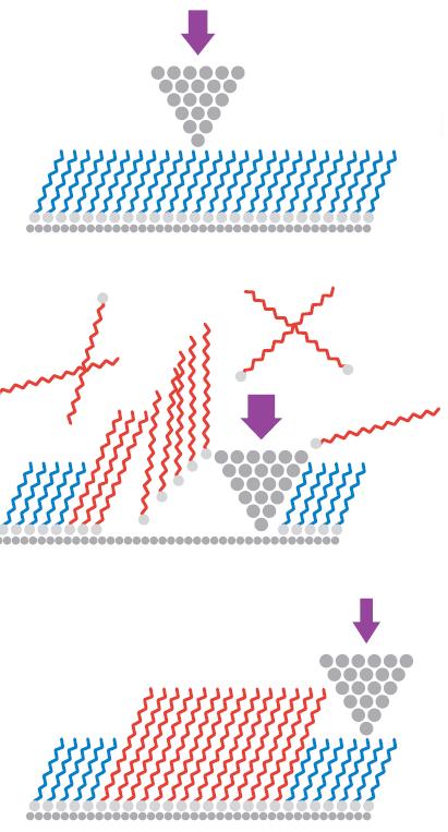 Χρήση AFM για τη δημιουργία νανοδομών NANOCRAFTING Παρόμοια τεχνική με το nanoshaving Η ακίδα είναι